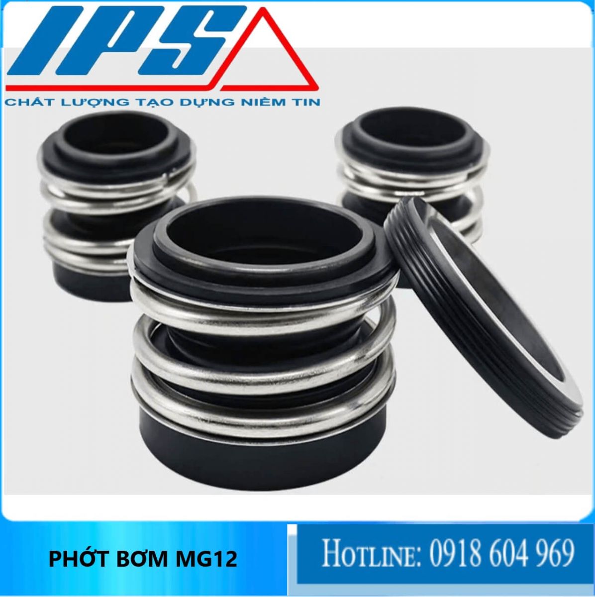 Phớt MG12-11(1)